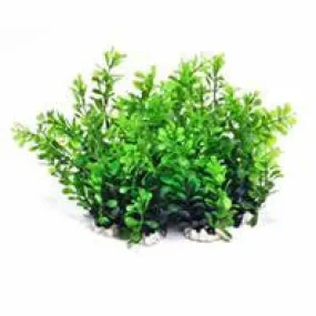 Aquatop Aquatic Supplies - Profit Power Pack Bushy Plant