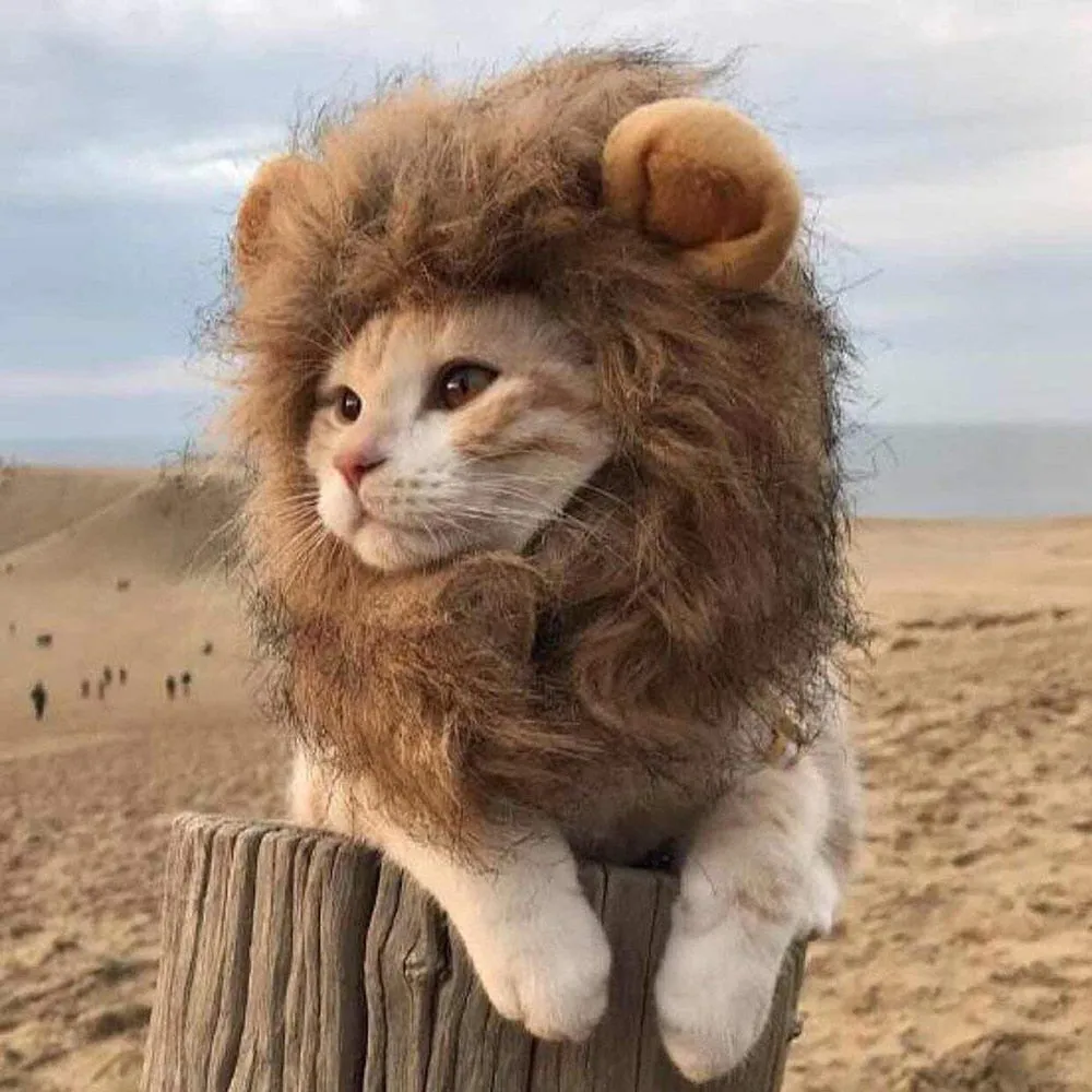 Color: Brown, Size: L - Cat lion headgear pet