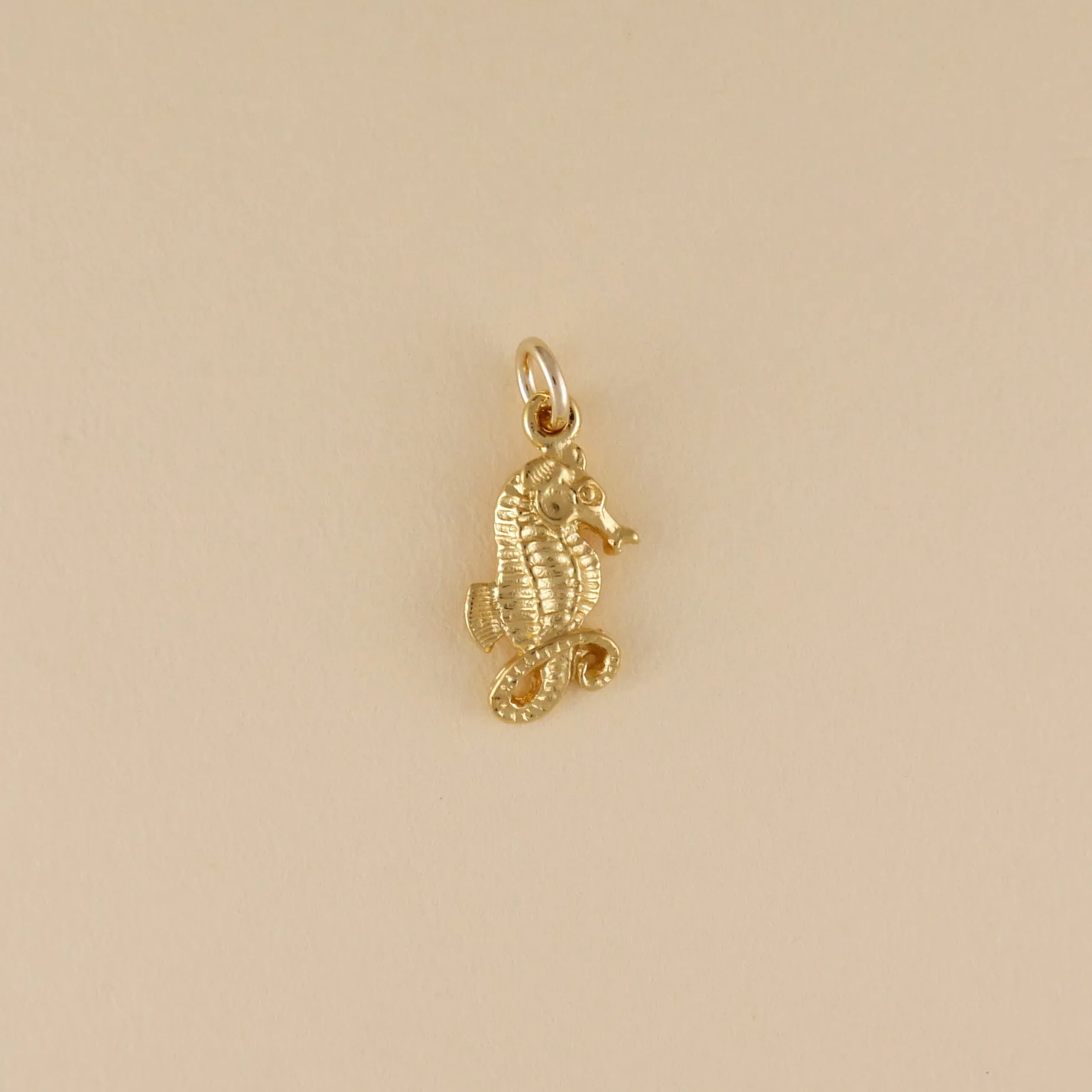 Seahorse Charm